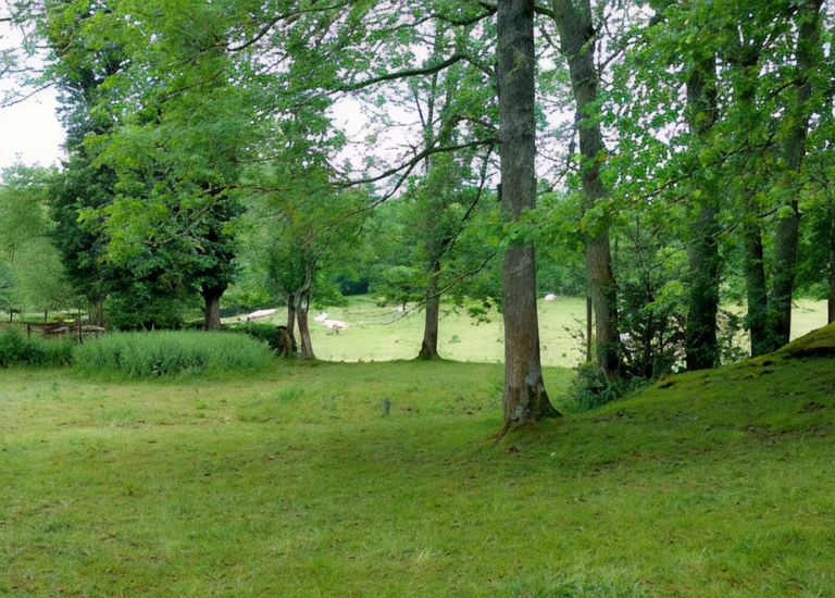 Dîner Estival dans le Parc – Menu Volcans