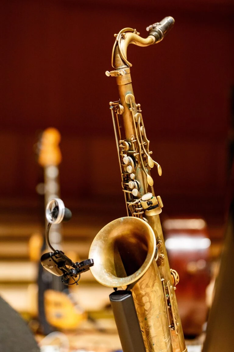 Concert en Plein Air Jazz & Volcans