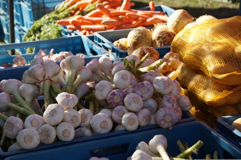 Marché de Producteurs Locaux